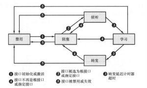 stp生成树五种接口状态分析-转变过程